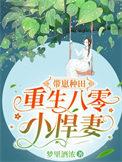重生八零带崽离婚后最新章节列表