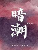 暗潮缉凶剧情介绍