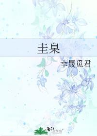 圭臬的拼音