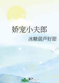 娇宠小夫郎[种田