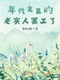 年代文的老实人摆工