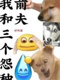 我和三个冤种前夫书评