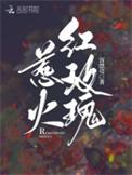 玫瑰惹火一级警报全文免费阅读