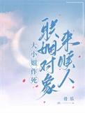大小姐携家产追夫短剧