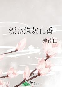 漂亮炮灰讲什么