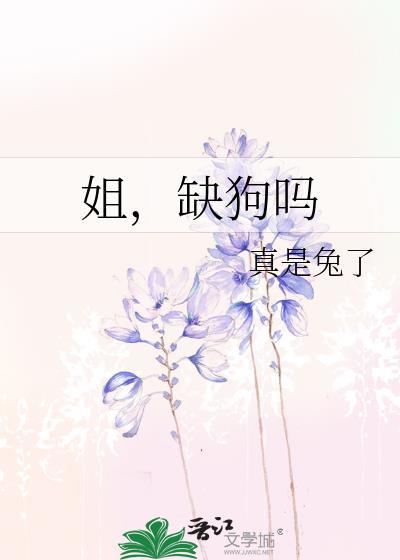 爱情的讯号歌词