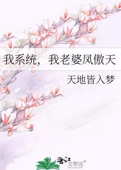 我系统我老婆凤傲天谁攻谁受