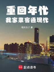 重回年代我家菜窖通现代正版阅读