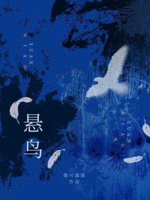 悬鸟by娜可露露TXT百度