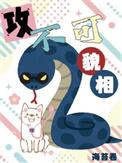 攻不可貌相txt百度