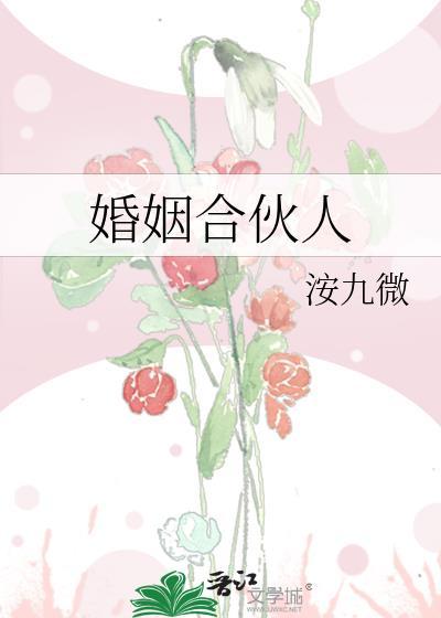 婚姻合伙人 国语