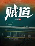 贼道小武