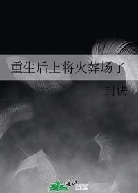 重生后上将火葬场了讲的什么