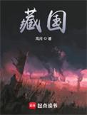 藏国税发[2009