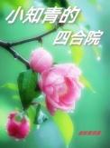 北京四合院知青题材电视