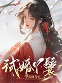 试婚丫鬟茄子苏小小