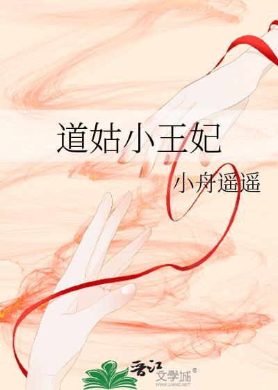 道姑小王妃讲的什么