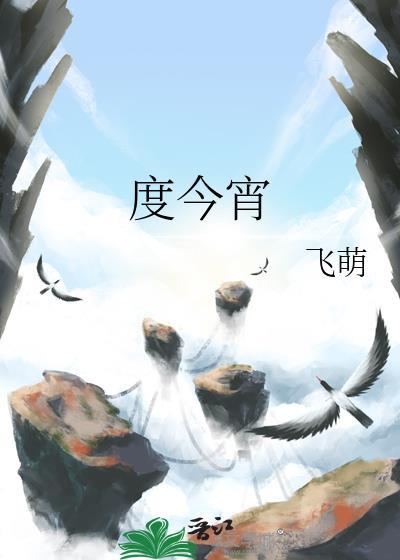 度今宵txt资源