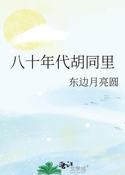 80年代胡同里全文txt