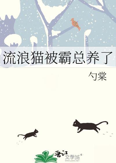 流浪猫被欺负