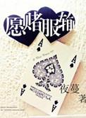 愿赌服输的从容