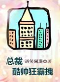 总裁酷帅狂霸拽28章