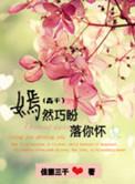 嫣然巧笑落你怀