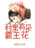 村里的女霸王她良田万顷