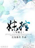 穿越之妹控无删减