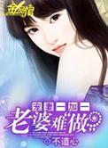 宠妻一加一老婆难做不道心