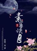 素华映月讲的什么