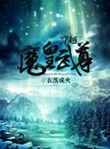 穿越魔皇武尊晋江