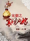 宋朝之寡妇好嫁宝书网