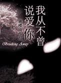 我从不曾说爱你免费阅读