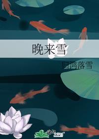 晚来雪简介