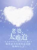 老婆太难找了打一生肖