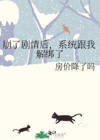系统崩坏以后