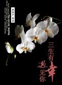 三生有幸遇见你电视剧免费观看完整版