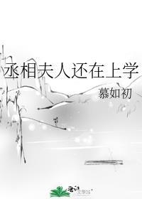 丞相夫人求下堂