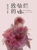 致灿烂的你番外全集