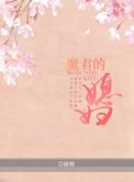 魔君的夫人txt