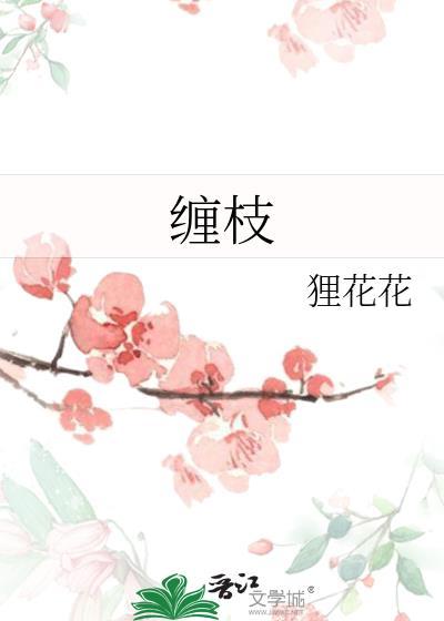 缠枝莲盖碗