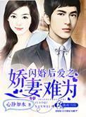 闪婚后爱之娇妻难为 心静如水