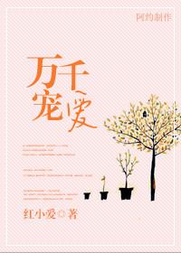 万千宠爱主角是谁是双男主吗