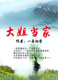 大姐当家 电视剧张世
