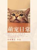 仓鼠金丝熊萌宠日常
