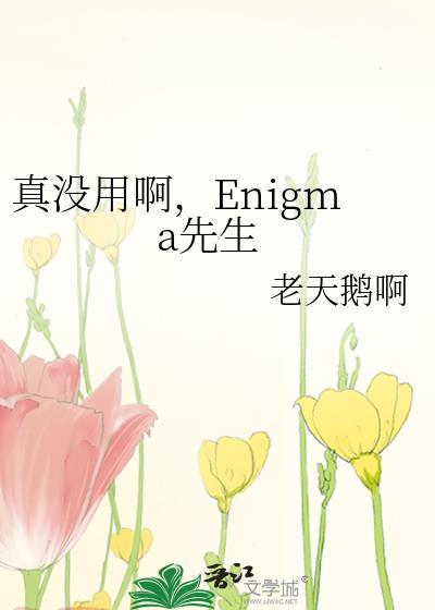 真没用啊enigma先生