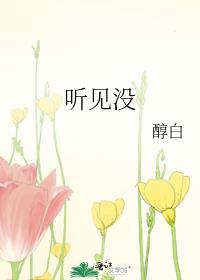 听见没讲的什么