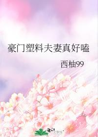 豪门塑料夫妇格格党
