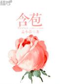 含苞待放(年代)谜骨生香百度